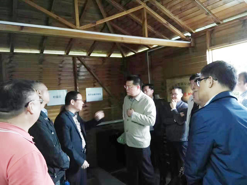 油水分離器 油水分離器