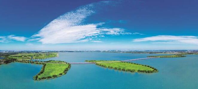 1622530129636136.jpg 13.jpg