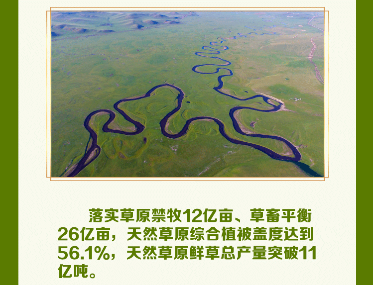 1623120229800116.gif 27.gif