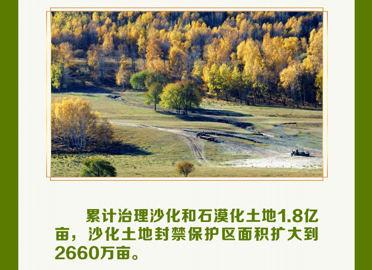 1623120250567613.gif 28.gif