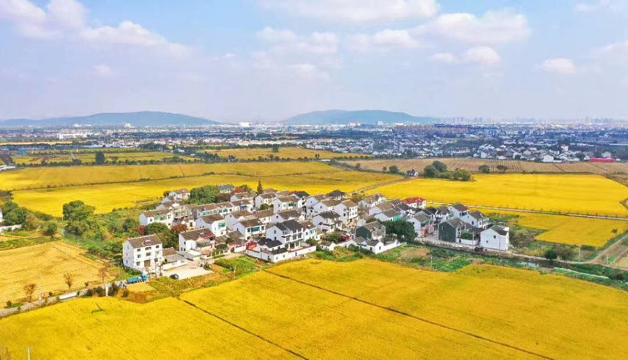 1667353169287754.jpg 8.jpg