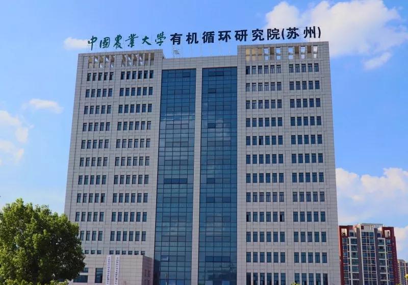 1667353203722736.jpg 10.jpg